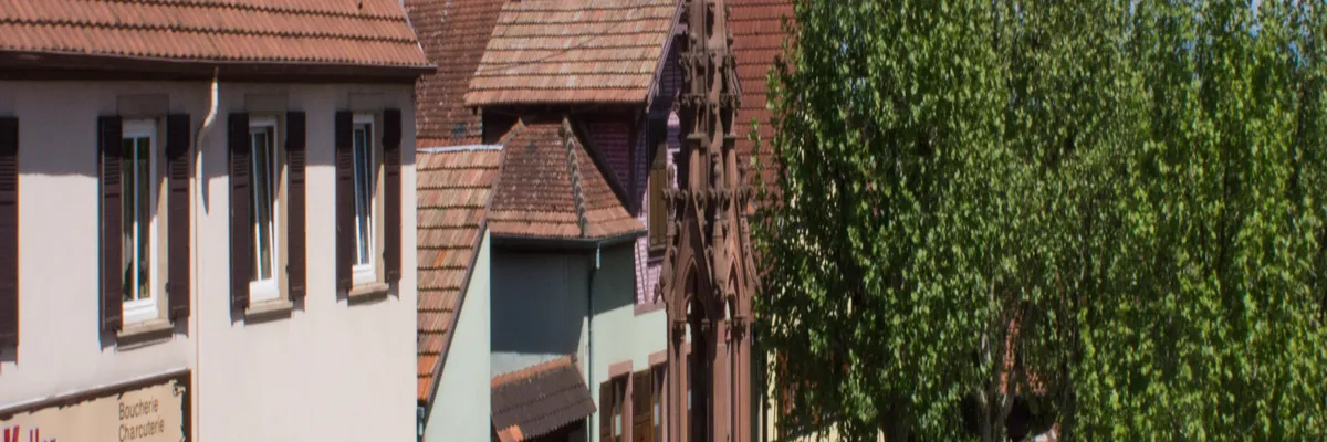 Image Architecte d'intérieur Bischoffsheim