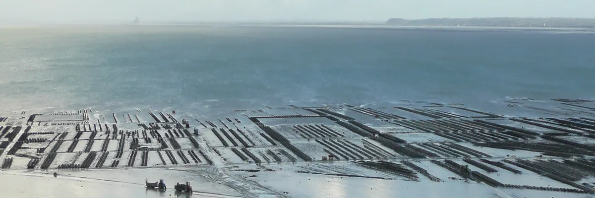 image-architecte-d-interieur-cancale.webp Image Architecte d'intérieur Cancale