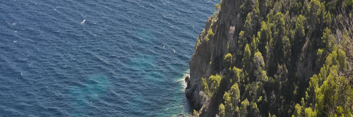 image-architecte-d-interieur-cavalaire-sur-mer.webp Image Architecte d'intérieur Cavalaire-sur-Mer