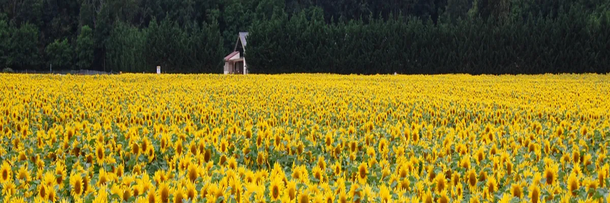 Image Architecte d'intérieur Centre-Val de Loire