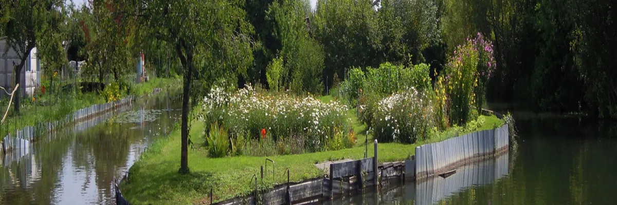 Image Architecte d'intérieur Cher