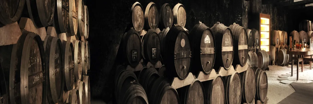 Image Architecte d'intérieur Cognac