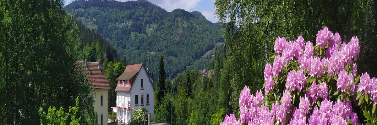 Image Architecte d'intérieur Cornimont