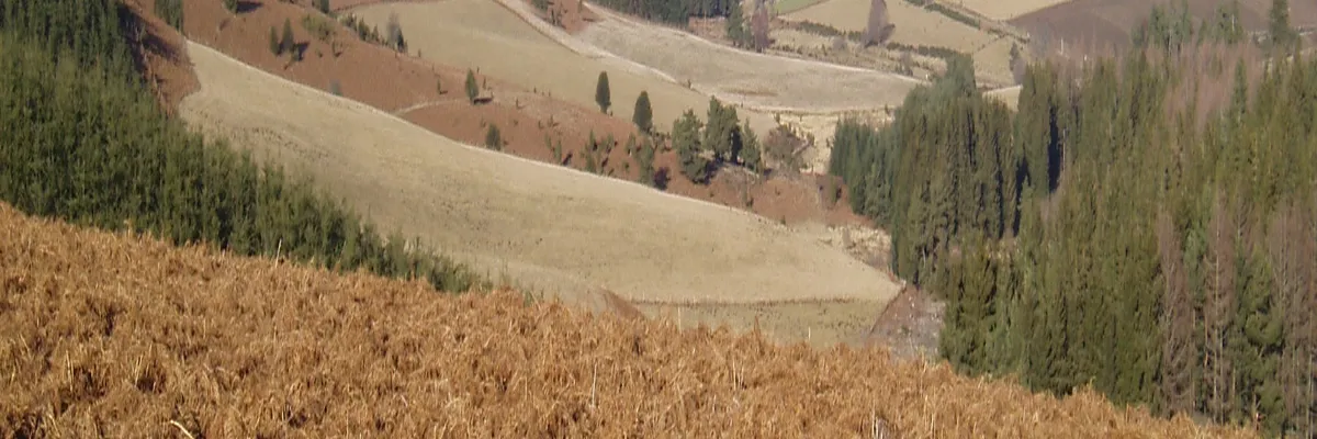 Image Architecte d'intérieur Creuse