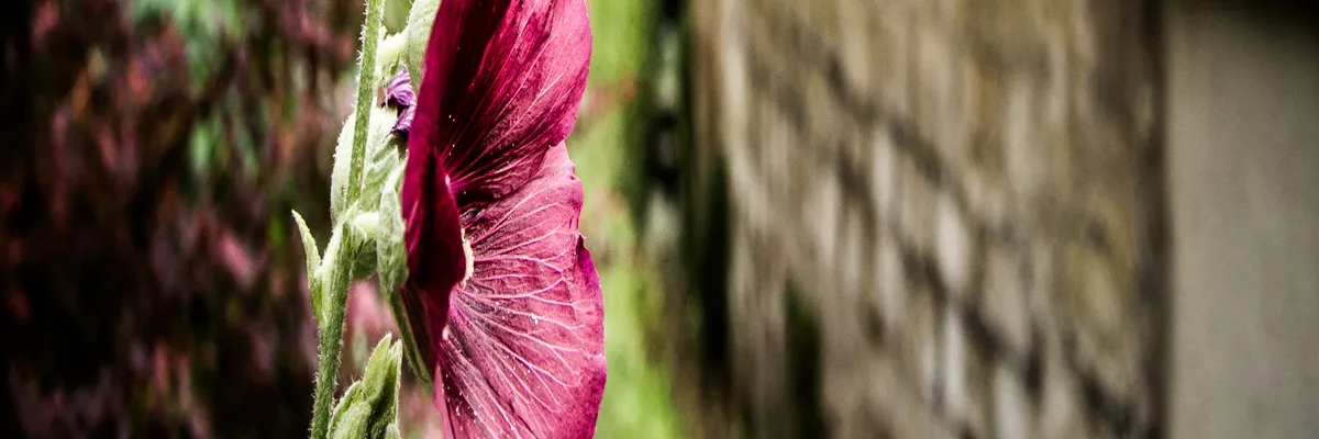 Image Architecte d'intérieur Éragny