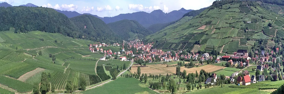 Image Architecte d'intérieur Grand Est