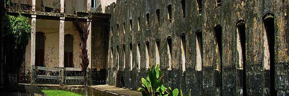 Image Architecte d'intérieur Guyane