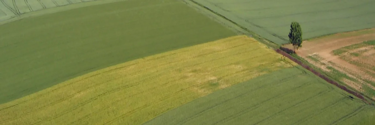 Image Architecte d'intérieur Hauts-de-France