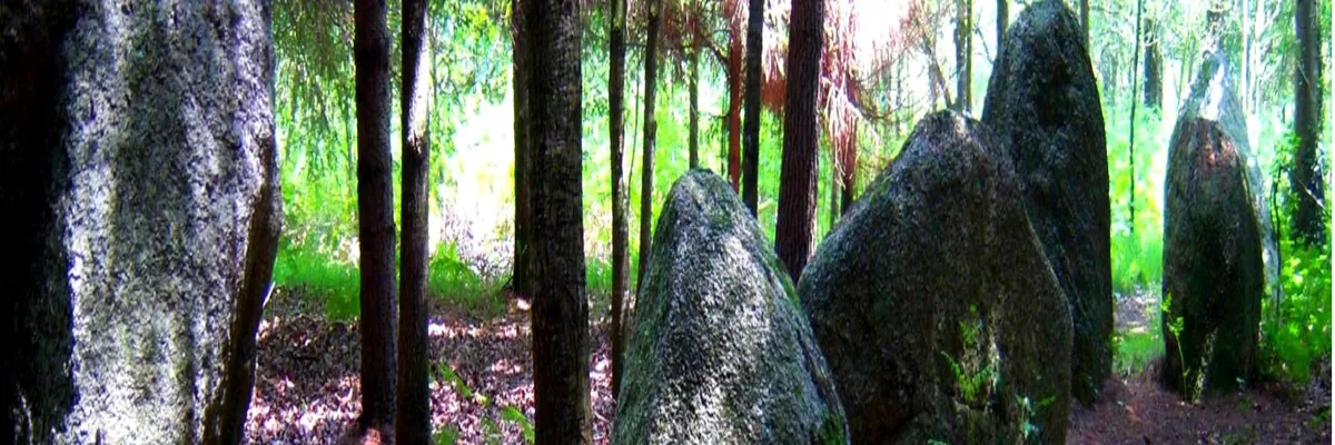 Image Architecte d'intérieur Languidic