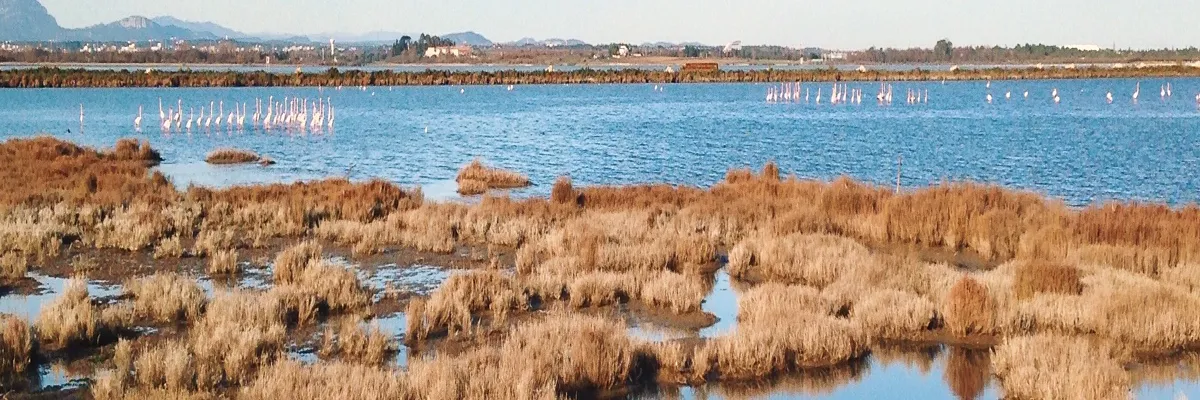 image-architecte-d-interieur-lattes.webp Image Architecte d'intérieur Lattes