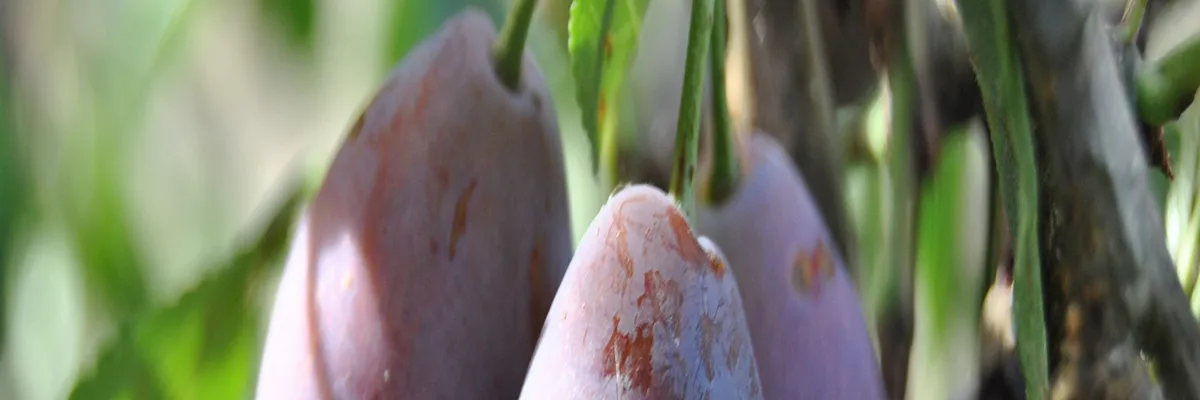 Image Architecte d'intérieur Lot-et-Garonne