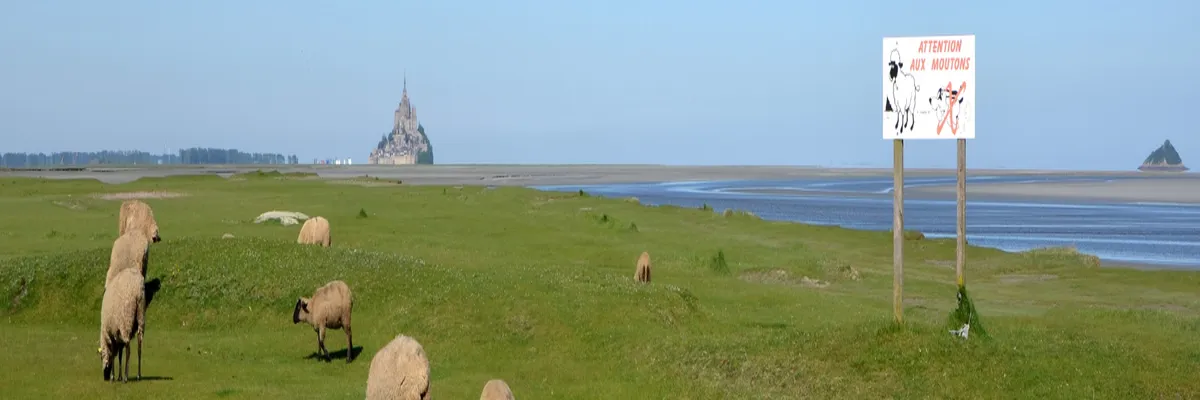 Image Architecte d'intérieur Manche