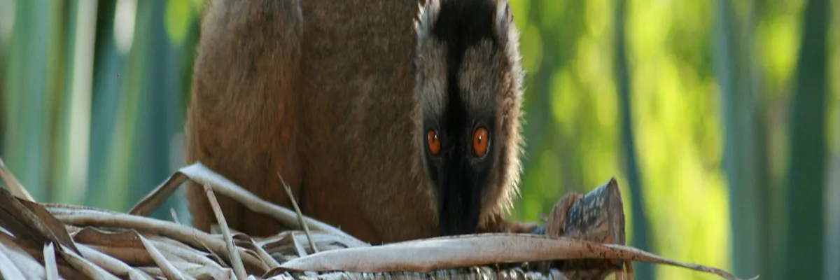 Image Architecte d'intérieur Mayotte