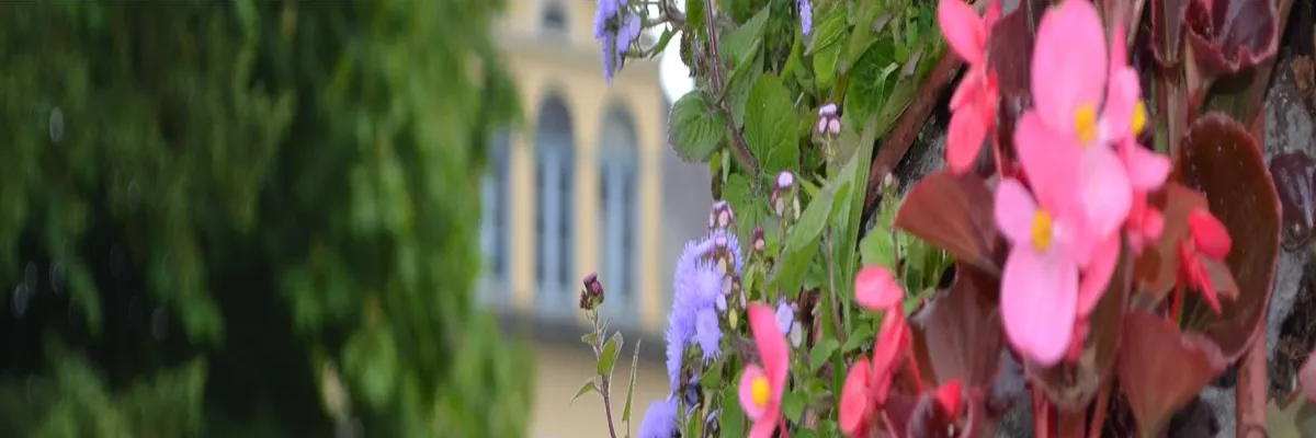 image-architecte-d-interieur-saint-etienne-au-mont.webp Image Architecte d'intérieur Saint-Étienne-au-Mont