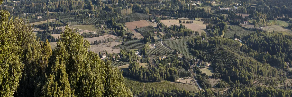 image-architecte-d-interieur-saint-remy-de-provence.webp Image Architecte d'intérieur Saint-Rémy-de-Provence