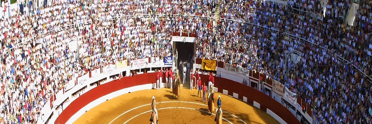 Image Architecte d'intérieur Vic-Fezensac