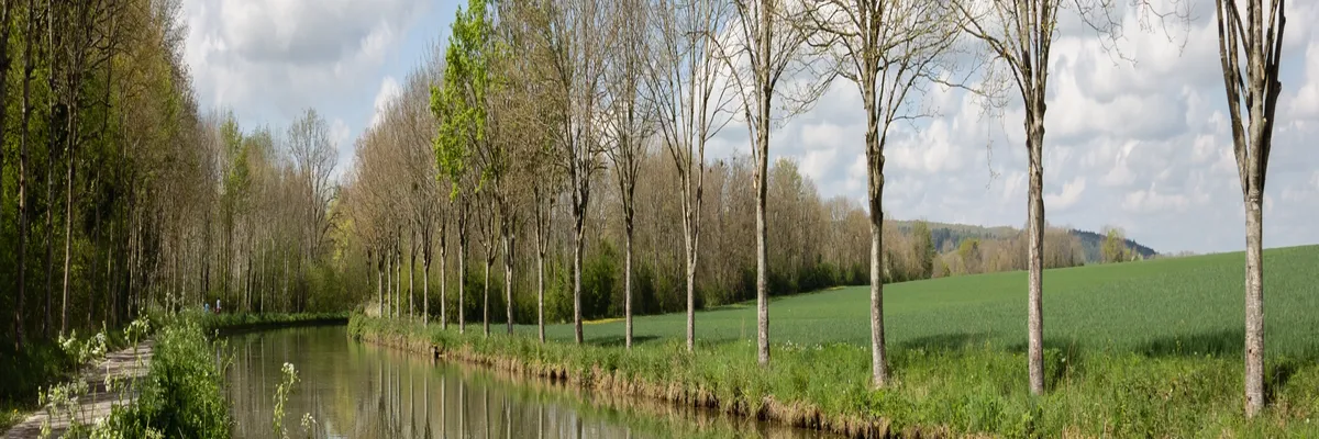 Image Architecte d'intérieur Yonne