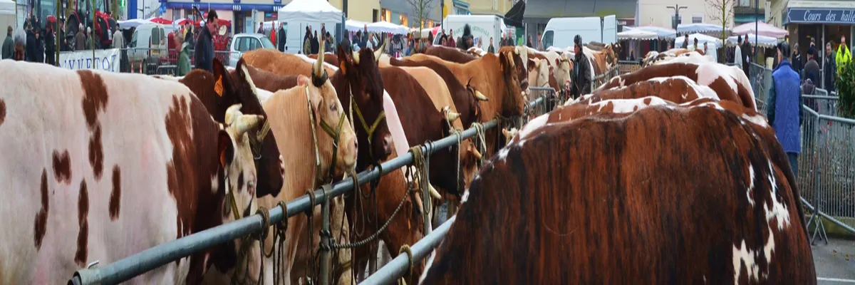 image-architecte-d-interieur-yvetot.webp Image Architecte d'intérieur Yvetot