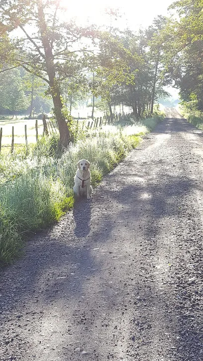 Image de Aditech (SARL)