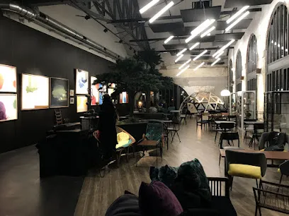 Image de ALCYONE design