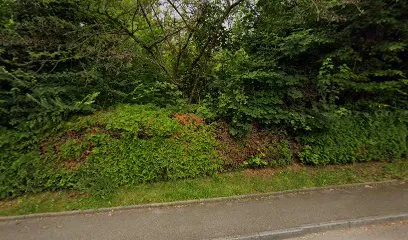 Image de Aline Erbeia Architecte d'intérieur