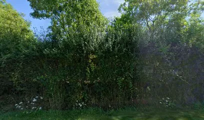 Image de Allo Design Nathalie Moreau