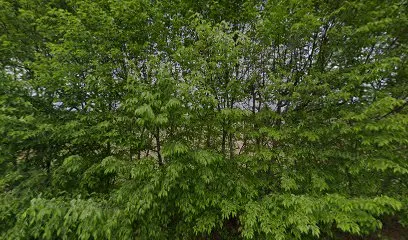 Image de BAYAS MOE LUBERON