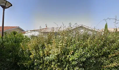 Image de Canopée - Design d'espace