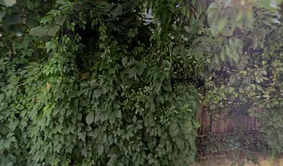 Image de Caroline Jomain Vieville