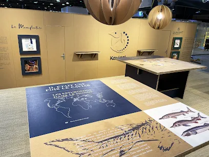 Image de Décor et Fonction