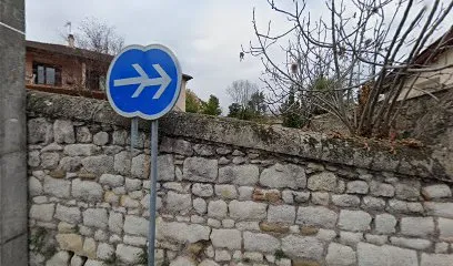 Image de Farge Véronique