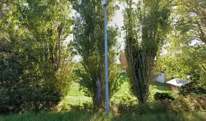 Image de Félicia F. DESIGN