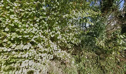 Image de Home Conseils