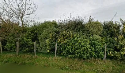 Image de LCD Ludo Concept Design