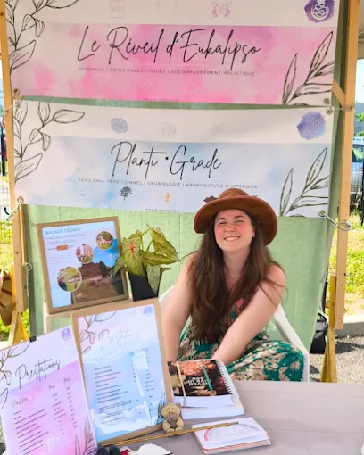 Image de Le réveil d'Eukalipso