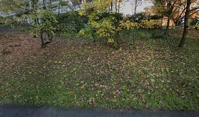 Image de Maison Bahia - Architecture d'intérieur et décoration