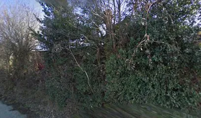 Image de Marion Hallé Architecture Intérieure