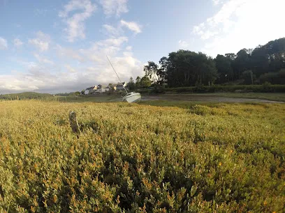 Image de Philippe Schotsmans