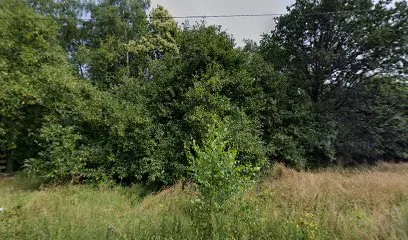 Image de Quand Juliette Rêve