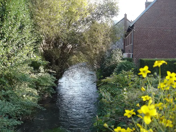 Votre Architecte Intérieur Architecte d'intérieur Déville-lès-Rouen