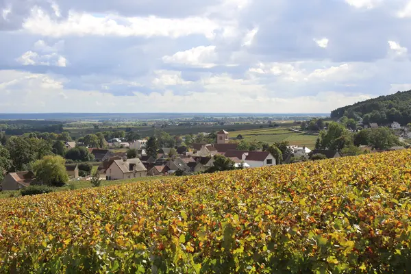Votre Architecte Intérieur Architecte d'intérieur Gevrey-Chambertin
