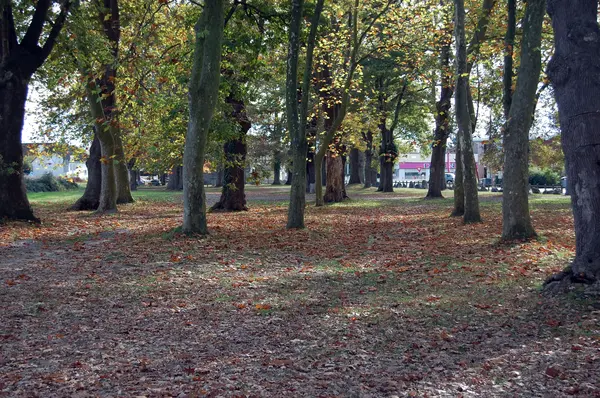 Votre Architecte Intérieur Architecte d'intérieur Idron