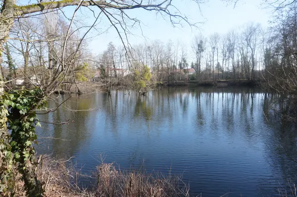 Votre Architecte Intérieur Architecte d'intérieur La Chapelle-Saint-Luc