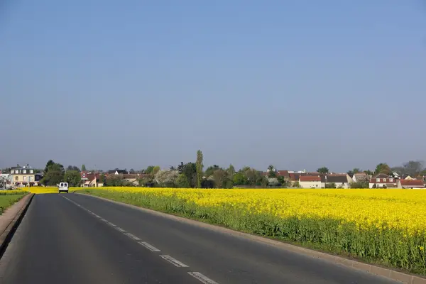 Votre Architecte Intérieur Architecte d'intérieur Noiseau