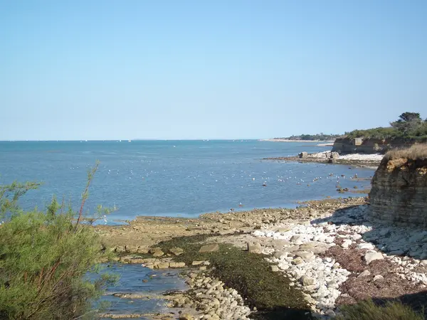 Votre Architecte Intérieur Architecte d'intérieur Nouvelle-Aquitaine