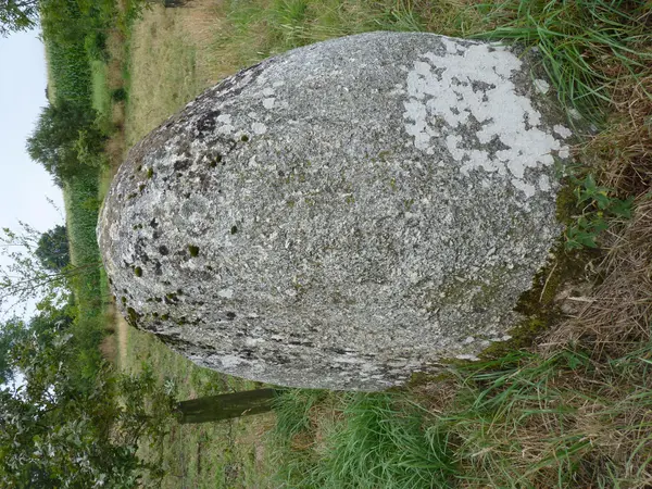 Votre Architecte Intérieur Architecte d'intérieur Plaintel