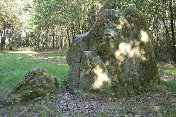 Votre Architecte Intérieur Architecte d'intérieur Pont-Saint-Martin